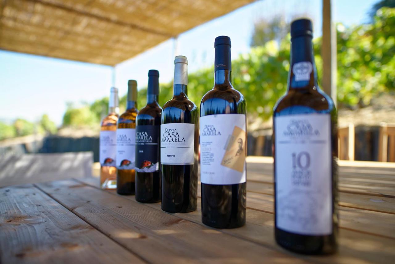 Quinta Da Casa Amarela- Casas Da Quinta - Turismo Em Espaco Rural Lamego Luaran gambar