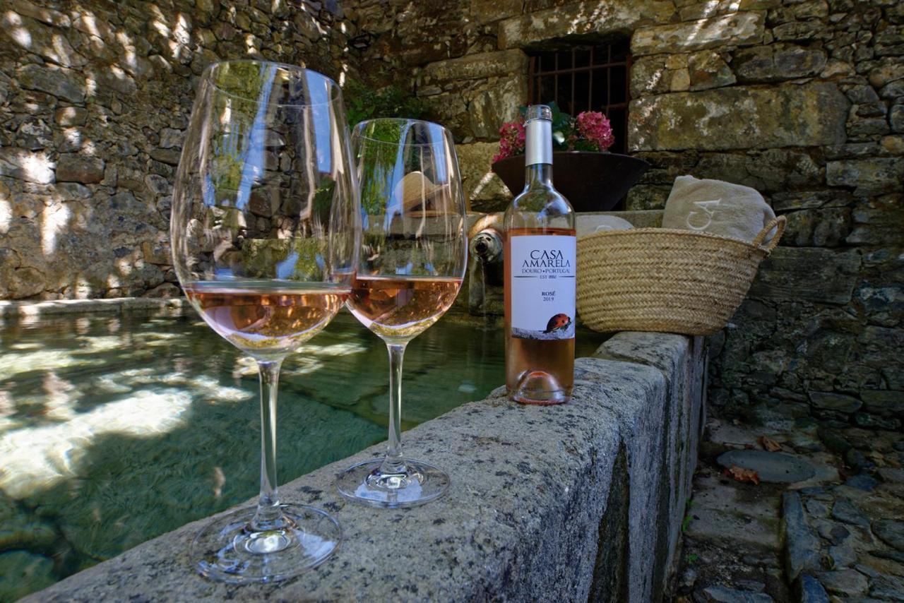 Quinta Da Casa Amarela- Casas Da Quinta - Turismo Em Espaco Rural Lamego Luaran gambar
